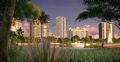 624 Palm